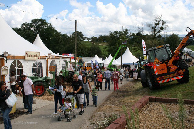 Festival 2012