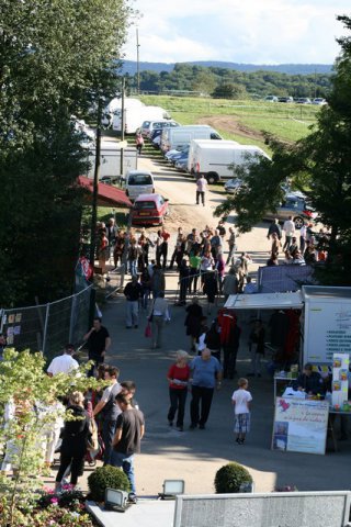 Festival 2012